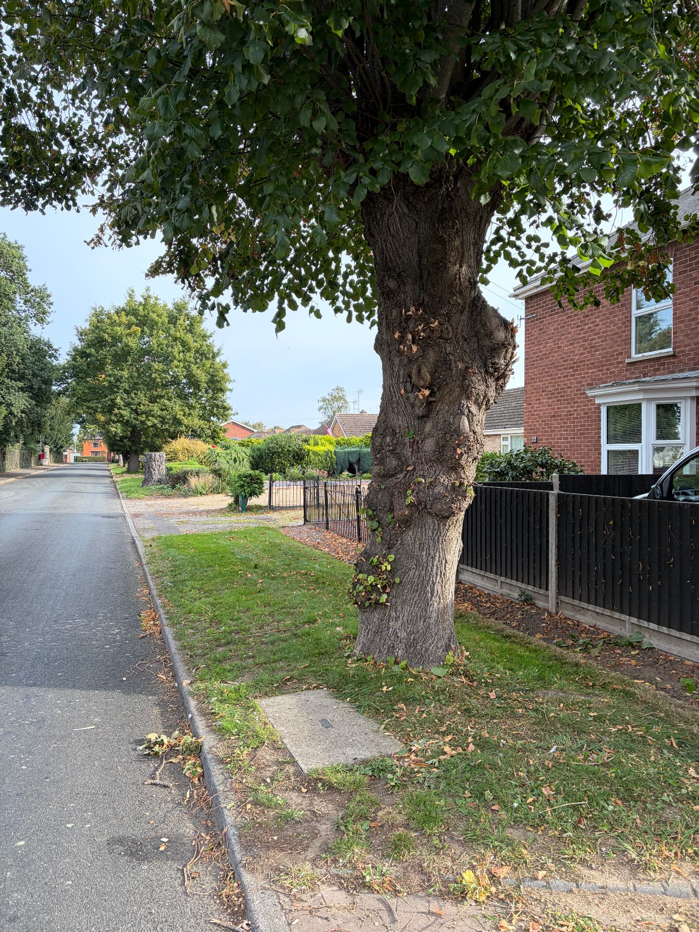 Garden Services